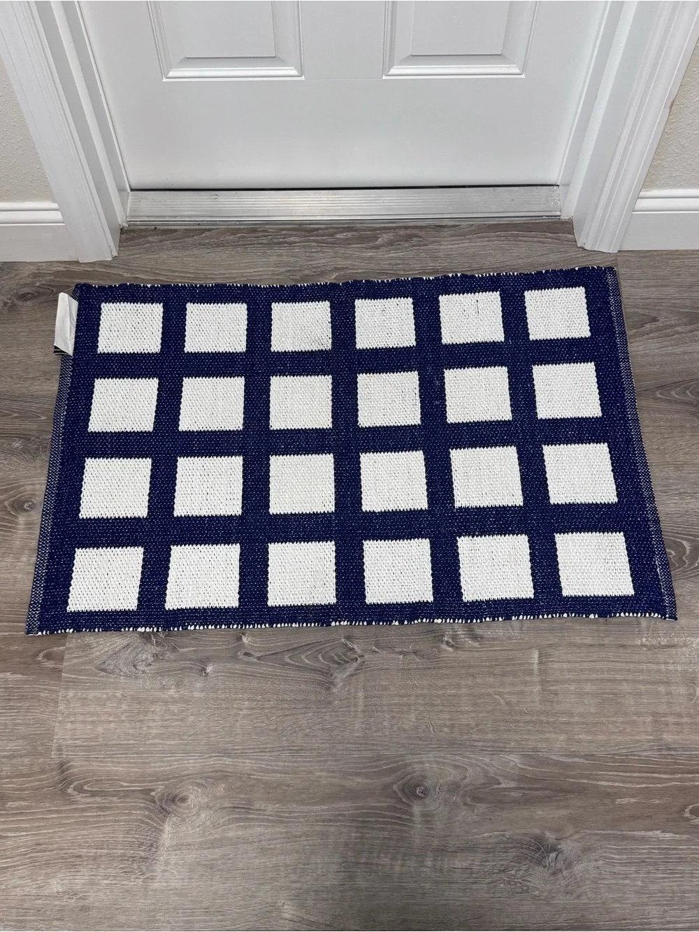 Annie Selke Titto Handwoven Indoor/Outdoor Rug 2x3